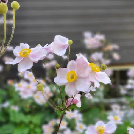 Appartement Berg-buedchen - Schnuckelige Maisonette-fewo - Gemuetlich Und Guenstig