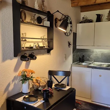 Berg-buedchen - Schnuckelige Maisonette-fewo - Gemuetlich Und Guenstig 公寓 *