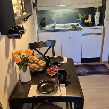 Berg-buedchen - Schnuckelige Maisonette-fewo - Gemuetlich Und Guenstig 公寓 圣安德里斯伯格