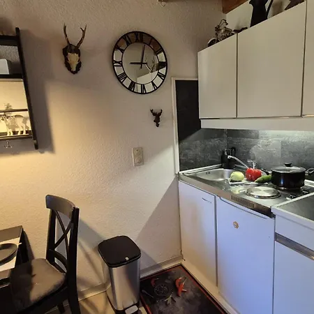 Berg-buedchen - Schnuckelige Maisonette-fewo - Gemuetlich Und Guenstig Apartman *