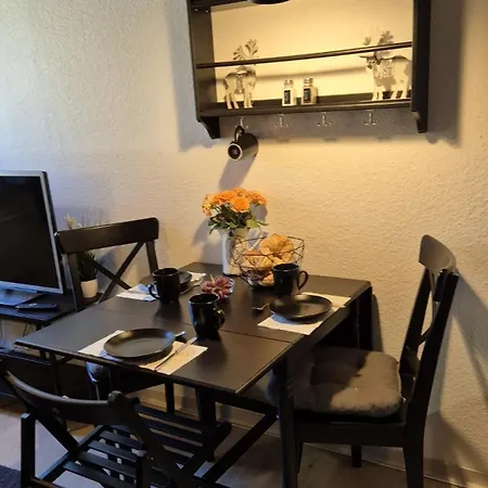 Daire Berg-buedchen - Schnuckelige Maisonette-fewo - Gemuetlich Und Guenstig Sankt Andreasberg