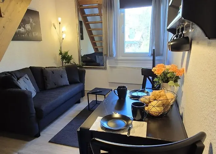 Berg-buedchen - Schnuckelige Maisonette-fewo - Gemuetlich Und Guenstig * Sankt Andreasberg